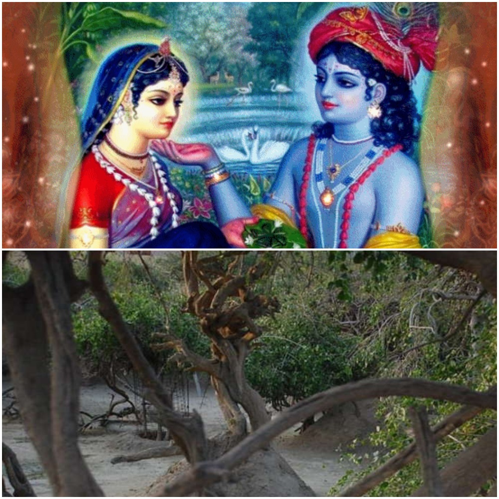 Janmashtami SPL: यहां आधी रात राधा संग रास रचाते हैं कान्हा, जो देखा हुआ पागल