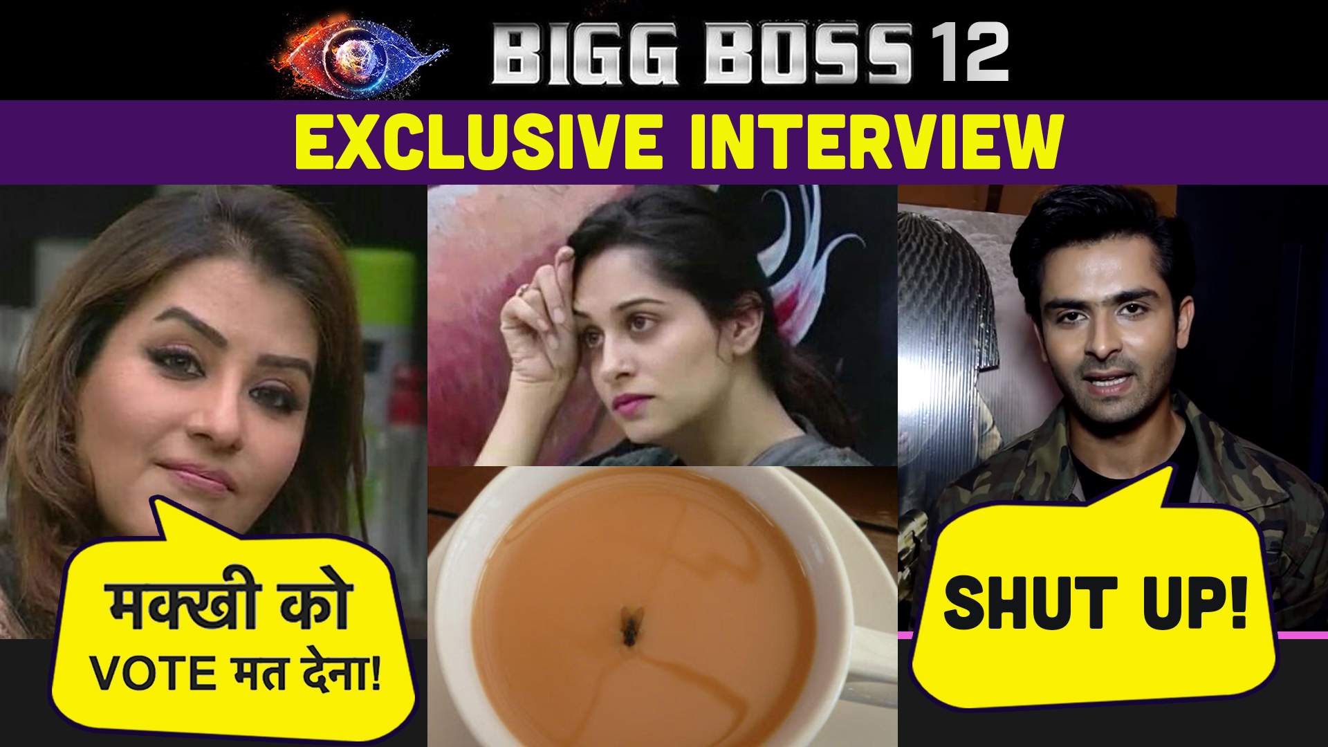 EXCLUSIVE VIDEO: शिल्पा शिंदे ने दीपिका ककर को कहा था मक्खी, शोएब इब्राहिम ने दिया ये REACTION