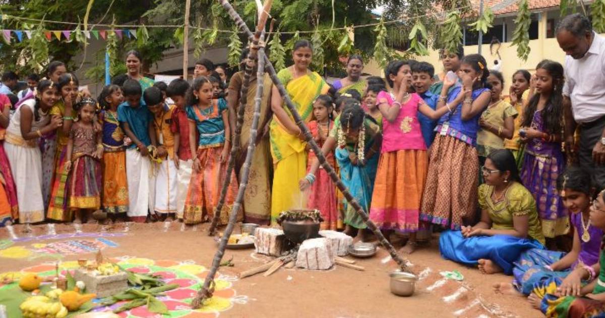 Happy Pongal 2019: सूर्य देवता को ‘पोंगल’ भेंट चढ़ाते हैं किसान,  इन चार तरह से मनाया जाता है ये त्यौहार