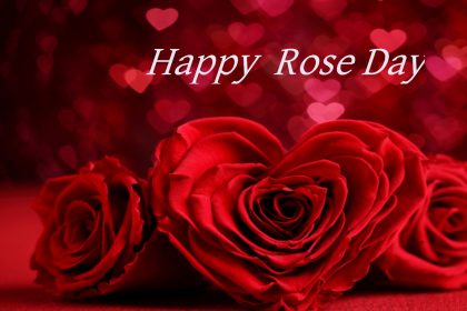 Valentine Rose Day