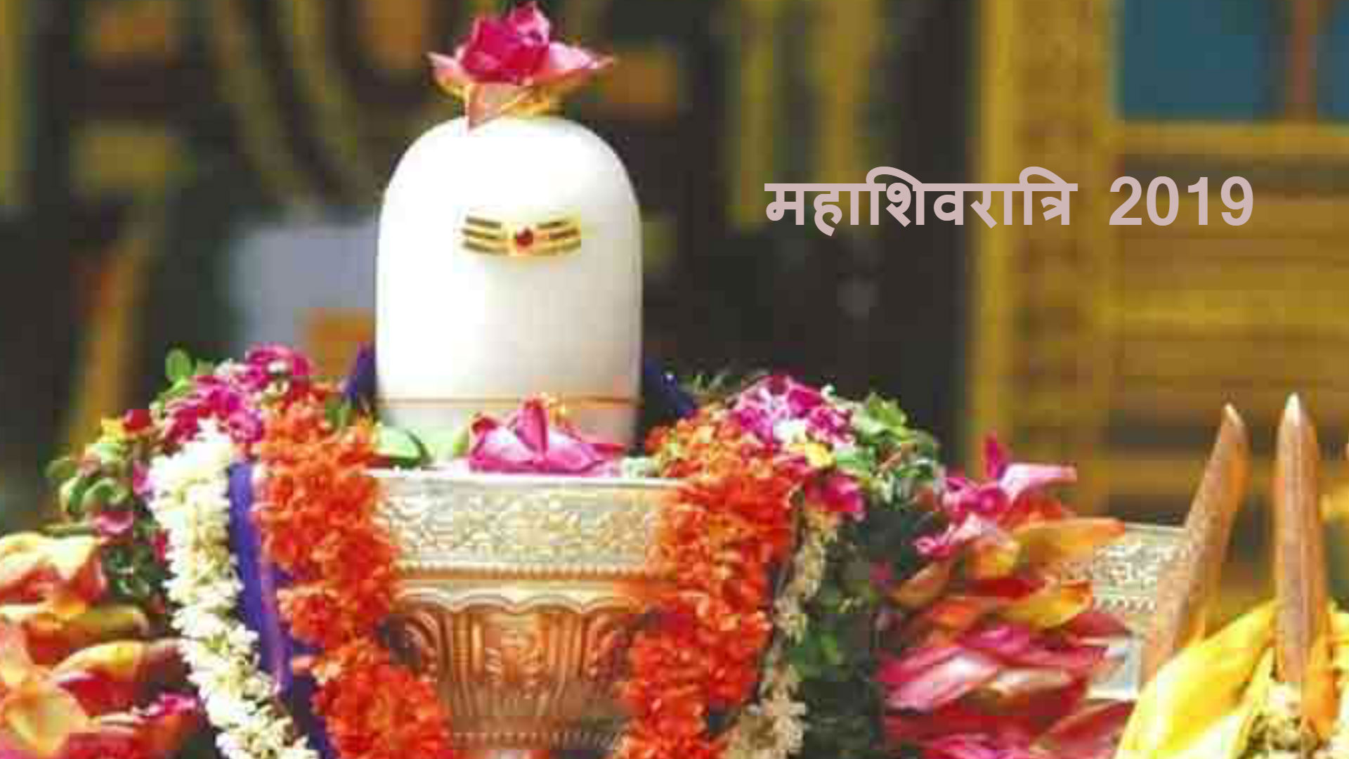 महाशिवरात्रि 2019: इस दिन भगवान शिव के लिए रखें व्रत, जानिए शुभ मुहूर्त और पूजा विधि