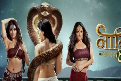 naagin 3