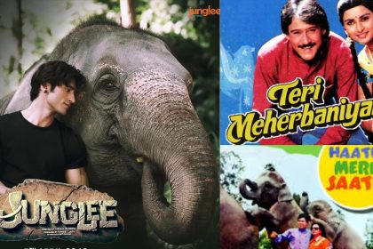 Junglee, Teri Meherbaniyan And Haathi Mere Saathi