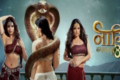 naagin 3