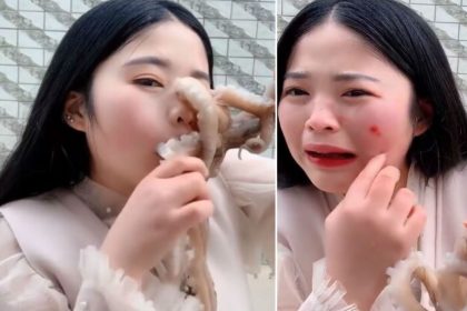 Chinese blogger tries eating octopus alive and faced its consequence video viral