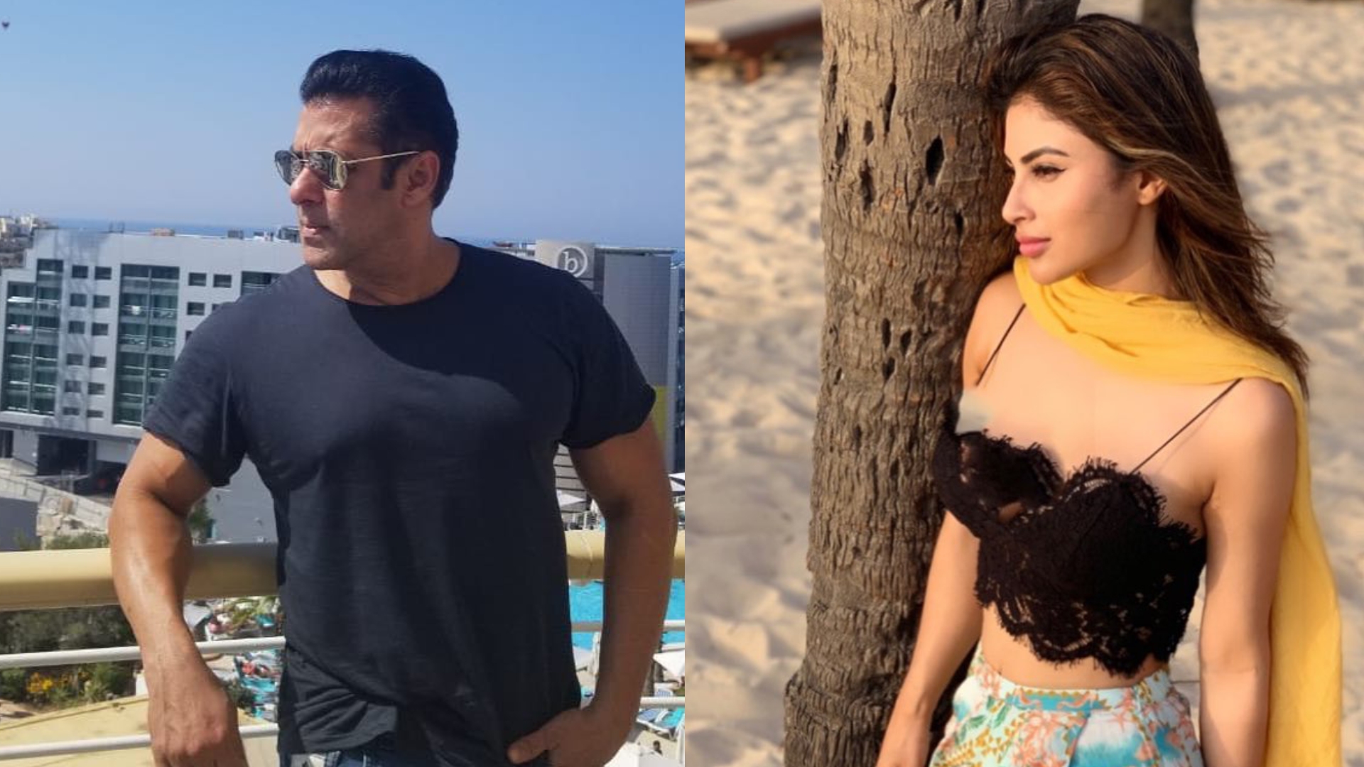 Dabangg 3 Movie: सलमान खान संग इस बार मौनी रॉय थिरकती आएंगी नजर, जानिए कैसा होगा गाना और कब शुरू होगी शूटिंग