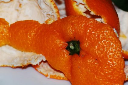 Orange Peels Beauty Benefits