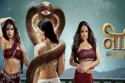 naagin 3