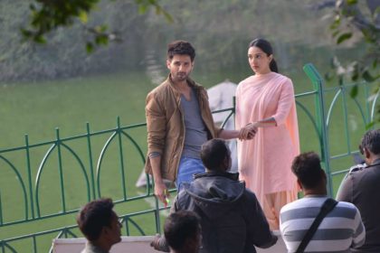 Kabir Singh Movie box office collection day 2 Shahid Kapoor Kiara Advani film