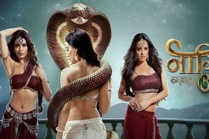 naagin 3