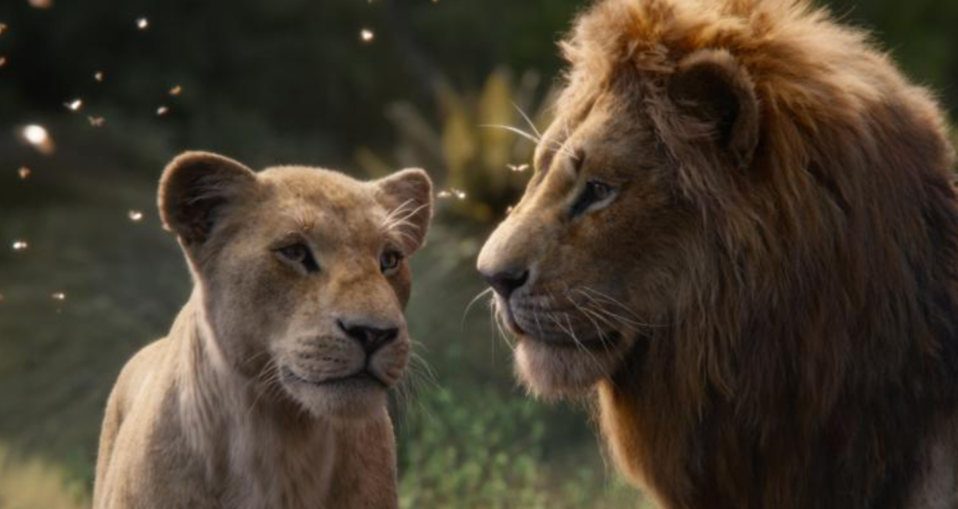 The Lion King Movie Review: शानदार विजुअल इफेक्ट, दमदार वॉयस ओवर, लेकिन इमोशनल टच देने में नाकामयाब रही फिल्म