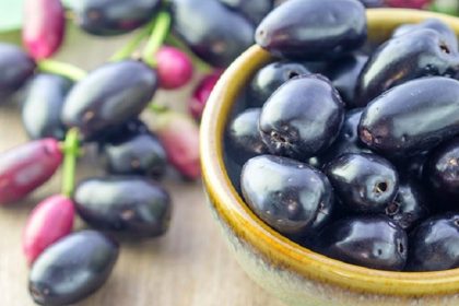 Black Plum Fruit Jamun Benefits