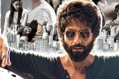 Kabir Singh Box Office Collection