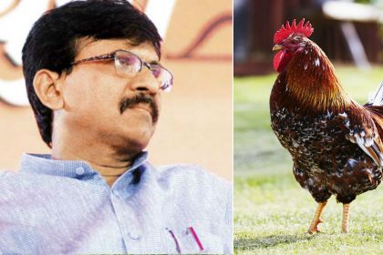 Shiv Sena MP Sanjay Raut wants chicken and eggs to be vegetarian twitter users mocks him