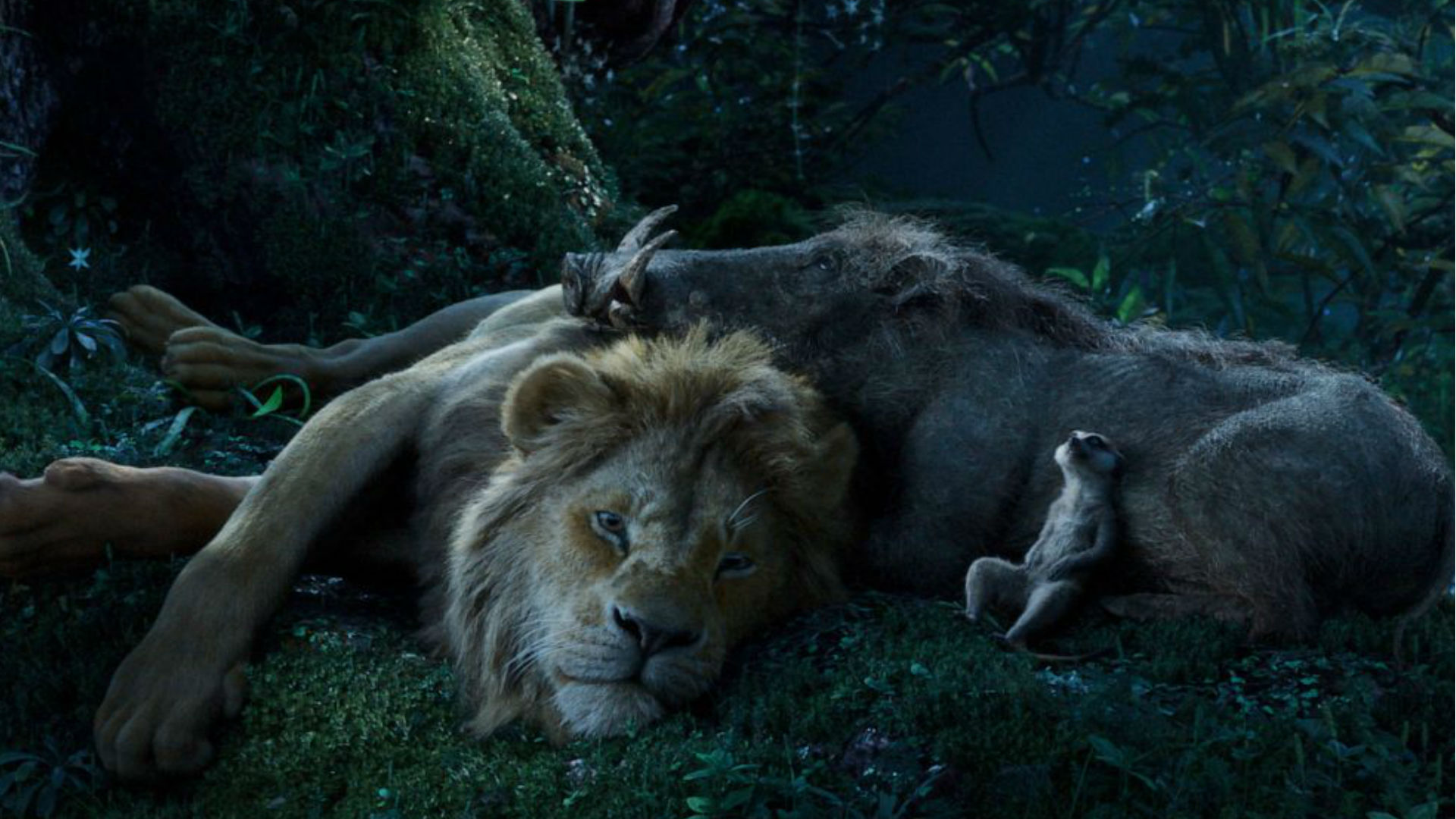 The Lion King Movie: फिर चला मुफासा, सिंबा, टिमोन और पुंबा का जादू, जानिए इस फिल्म को देखने की 5 बड़ी वजह