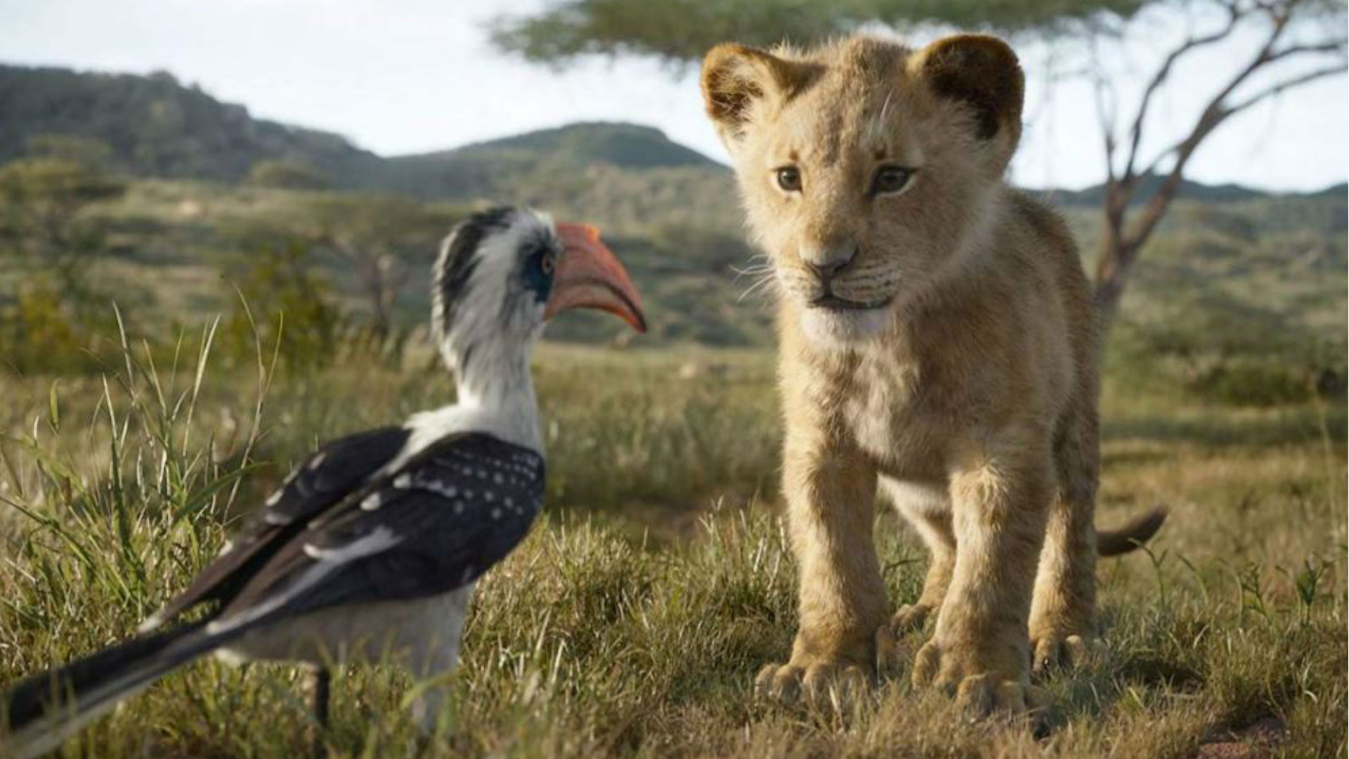 The Lion King Movie: फिल्म द लॉयन किंग के रिलीज होते ही तमिल रॉकर्स ने लीक किया मूवी का HD प्रिंट