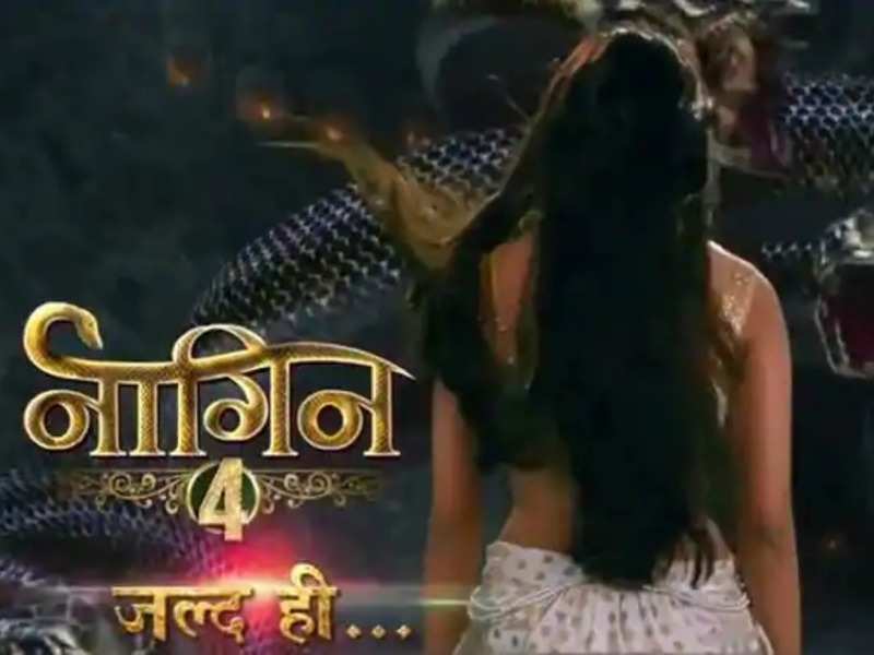 Naagin 4: एकता कपूर इस महीने करेंगी नई नागिन का खुलासा, लिस्ट में शामिल है इन दो एक्ट्रेस के नाम