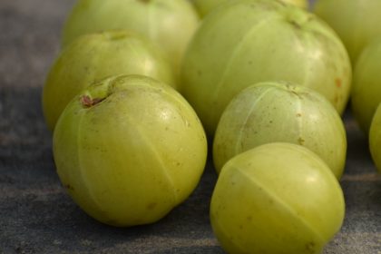 Indian Gooseberry Amla Benefits