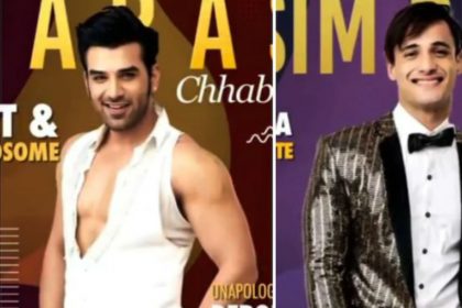 Asim Riaz, Paras Chhabra, Bigg Boss 13, Salman Khan