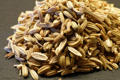 Fennel Seeds Saunf Benefits
