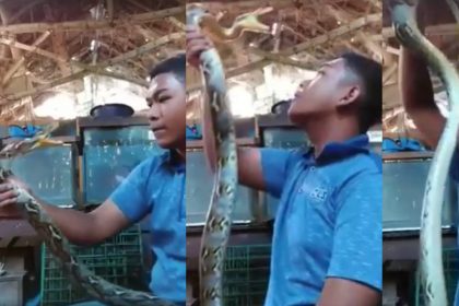 Snake Fange A Man Viral Video