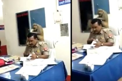 बंदर ने दी पुलिसकर्मी को मसाज (फोटो-वायरल)