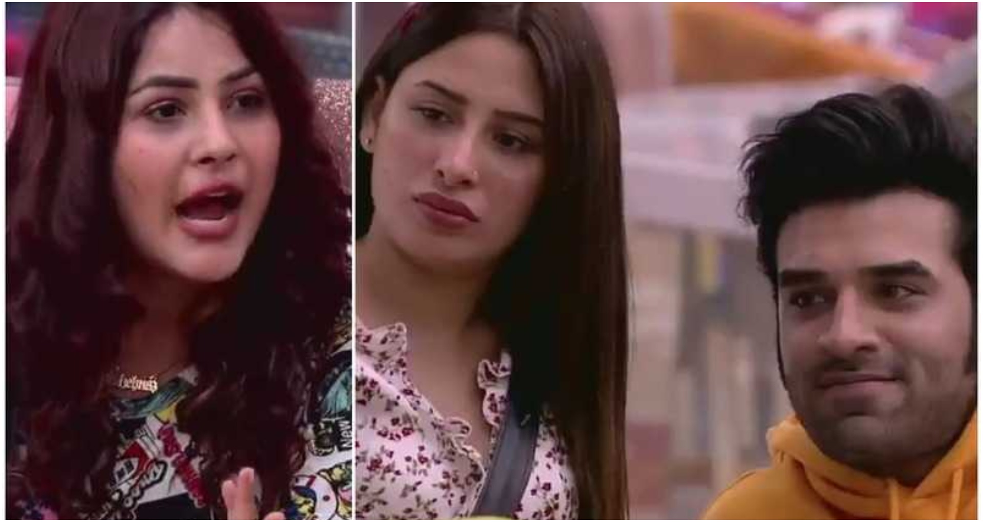 Bigg Boss 13: माहिरा ने किया पारस से प्यार का इज़हार, शहनाज से कहा- दूर ही रहना, देखें वीडियो