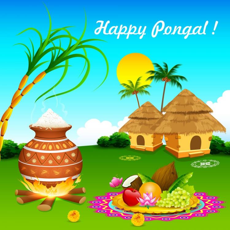 Pongal 2020