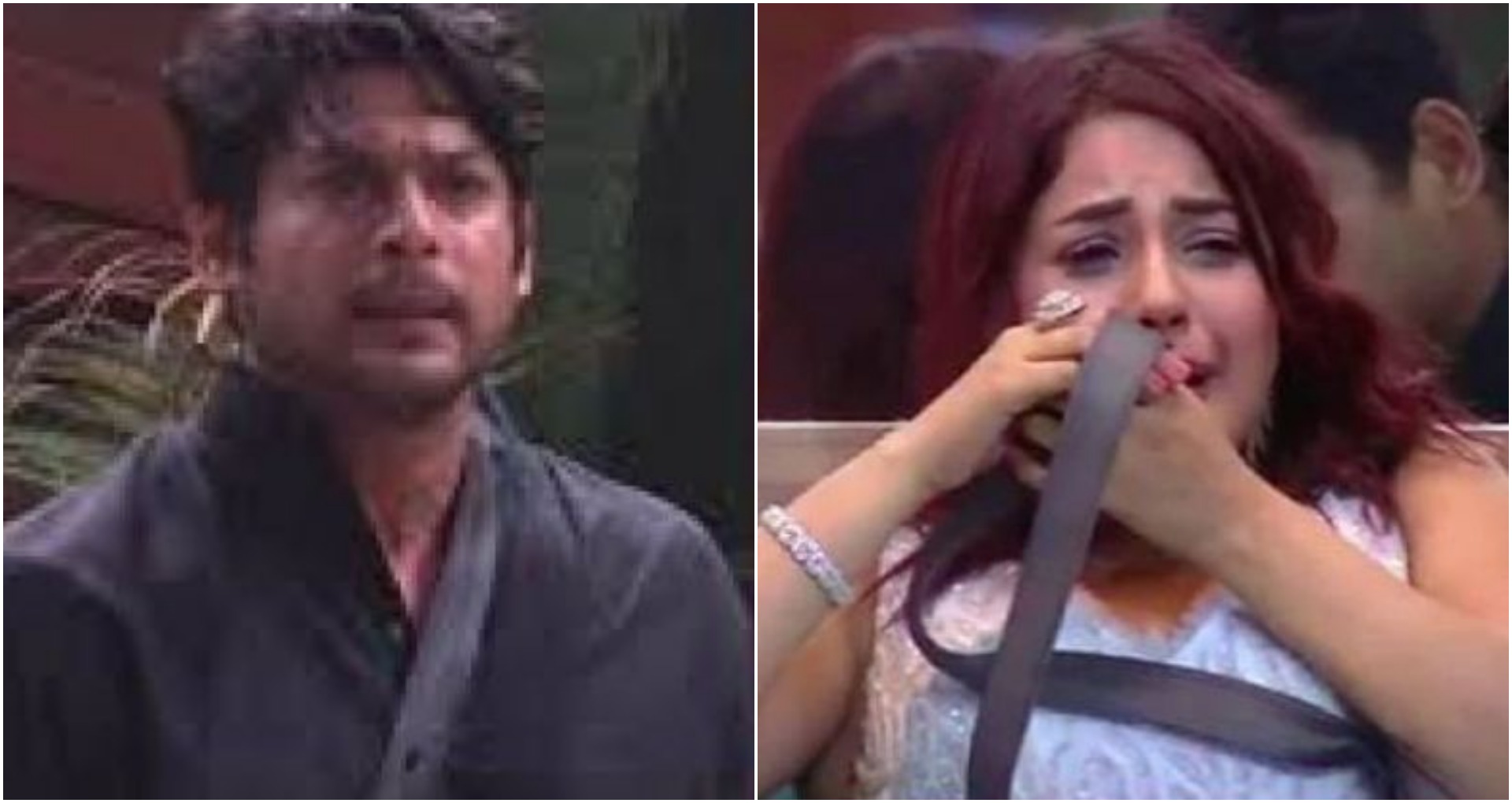 Bigg Boss 13: सिद्धार्थ-शहनाज़ के बीच तेज हुई जंग, रश्मि-माहिरा भी आईं आमने-सामने, देखें वीडियो