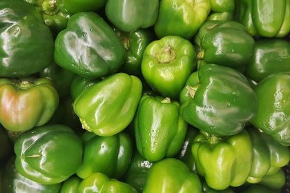 Capsicum Health Benefits: शिमला मिर्च खाने से आपको हो सकते कई फायदे, कैलोरीज जैसी  समस्या भी होगी दूर