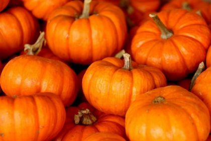 Pumpkin Health Benefits: कद्दू खाने से आपके वजन घटाने से लेकर बेहतर त्वचा तक के फायदे हो सकते है, लिस्ट देखे