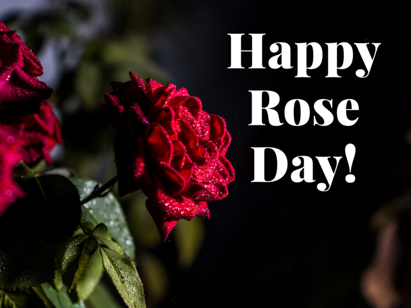 Happy Rose Day 2020 Wishes Images