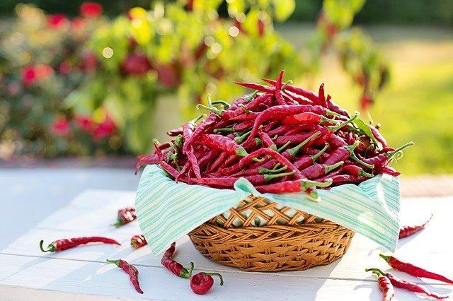 Red Chillies for Weight Loss: लाल मिर्च से घटाए वज़न, डायट पालन में तुरंत करें इसका इस्तेमाल