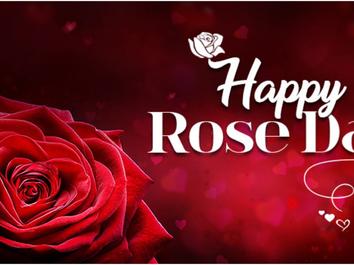 Happy Rose Day 2020 Wishes Images Quotes Pics Shayari Rose Day 2020 Kab Hai Valentine Week List 2020 Rose Day 2020 Date Happy Rose Day 2020 Wishes Images Quotes Pics Shayari