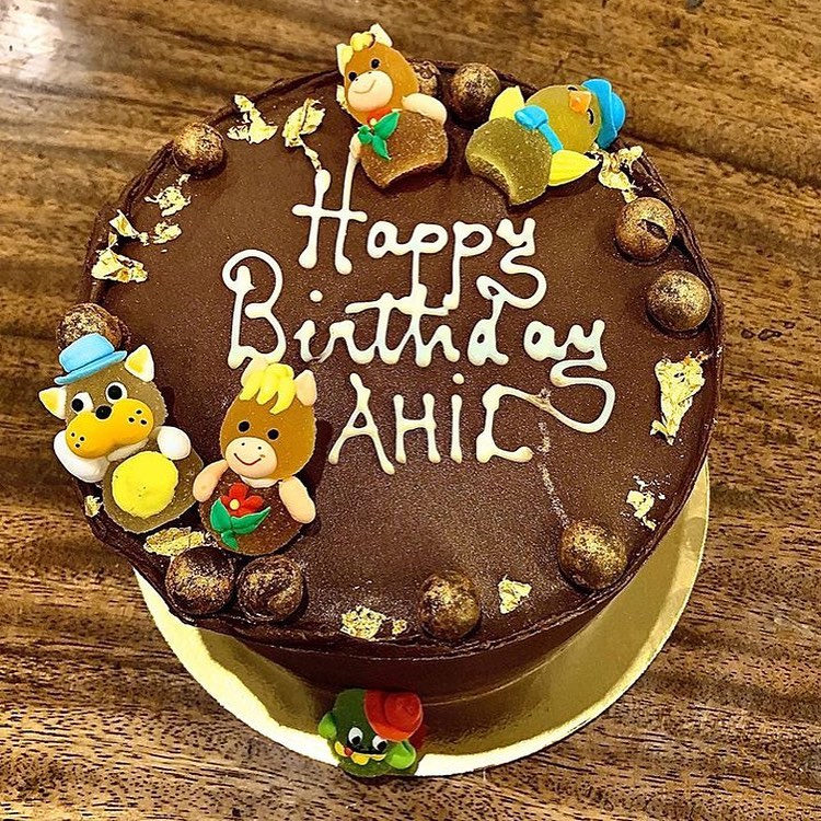 Ahil Sharma birthday photos