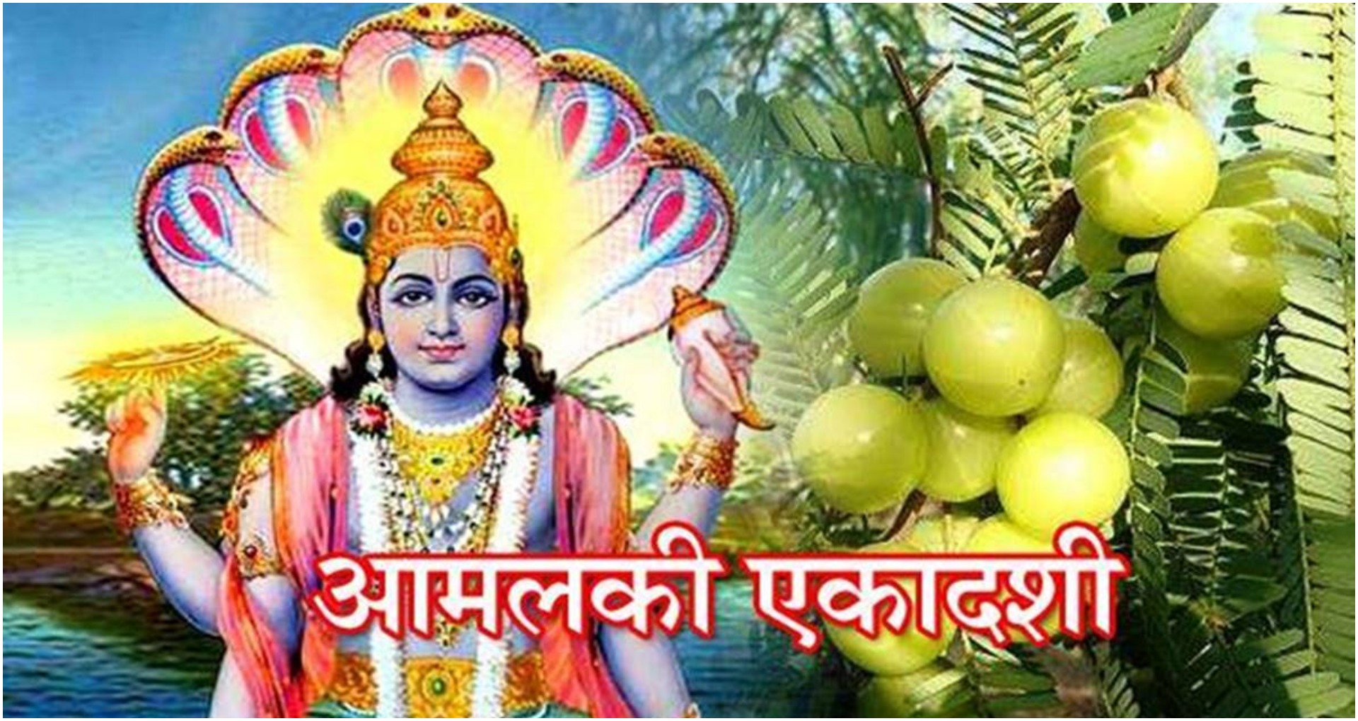 Amalaki Ekadashi 2020 Date: इस ख़ास दिन है आमलकी एकादशी ? पूजा में आंवले के पेड़ का है महत्व