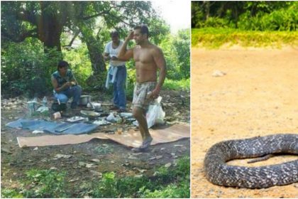 लॉकडाउन के बीच फार्महाउस में फसे सलमान खान के जिम में आया किंग कोबरा, बहन के पति ने इस बात का किया खुलासा