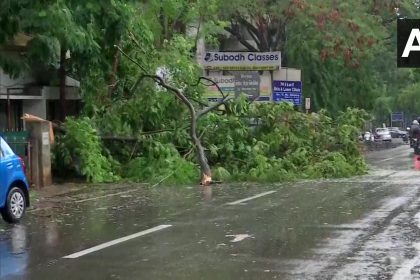 Cyclone Nisarga Updates: गुजर गया निसर्ग तूफान, छोड़ गया निशान, देखें तस्वीरें और वीडियोज