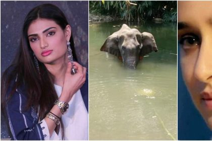 Shraddha Kapoor and Athiya Shetty got angry on human kill pregnant Elephant in Kerala