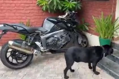 सुशांत के पेट डॉग फज का वीडियो Viral, सुशांत के इंतजार में लगा रहा Bike का चक्कर, देखें Video