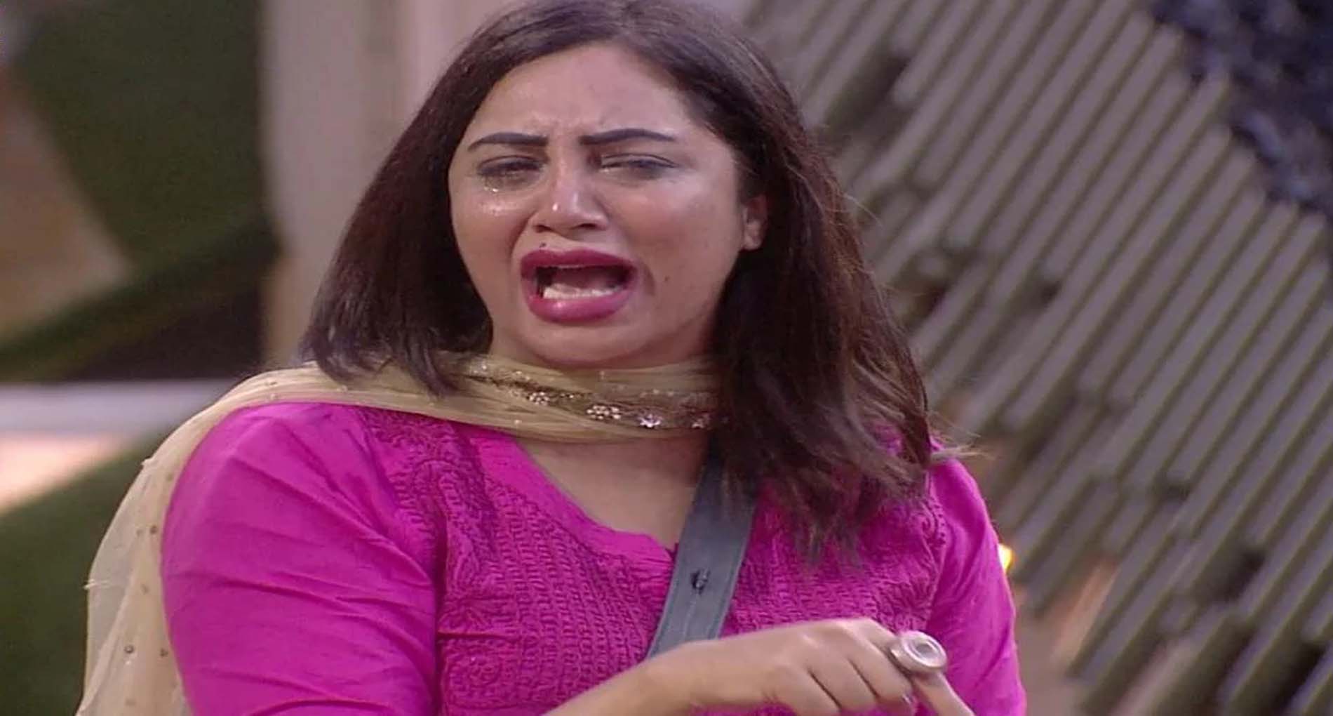 Bigg Boss 14: कैप्टेंसी को लेकर आमने-सामने आए अली और अभिनव! अर्शी खान की विकास गुप्ता से टक्कर