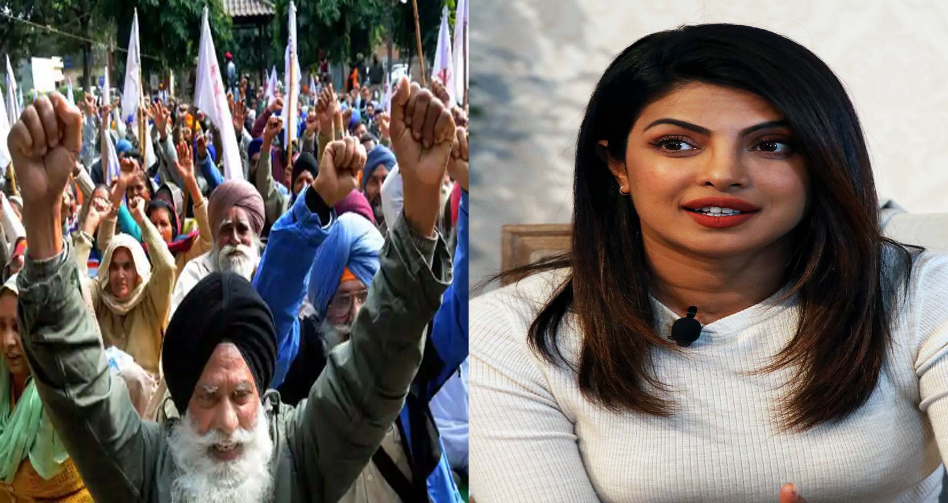 Priyanka Chopra Support Kisan Protest She Is Not Happy Seeing Farmers  Situation Tweet Viral - प्रियंका चोपड़ा ने किसानों को बताया सैनिक, कहा-  किसानों के डर को खत्म करना जरूरी - Hindi