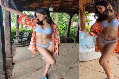 व्हाइट बिकिनी में Ananya Pandey का बोल्ड लुक, फैंस ने किये मजेदार कमेंट