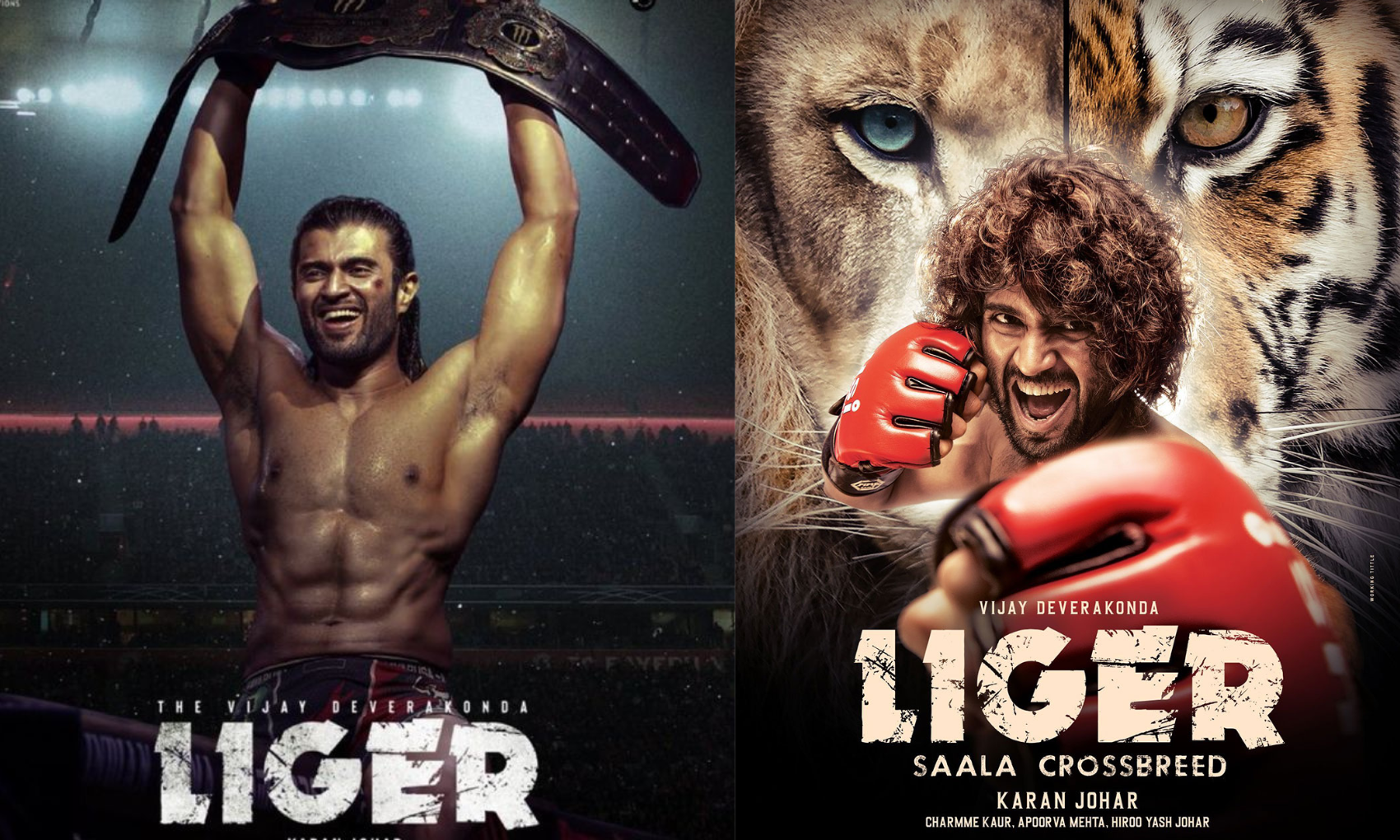 Liger Box Office Day 1: बॉलीवुड स्टार्स की फिल्मों को पछाड़ते हुए विजय देवरकोंडा की ‘लाइगर’ ने मारी बड़ी उछाल…