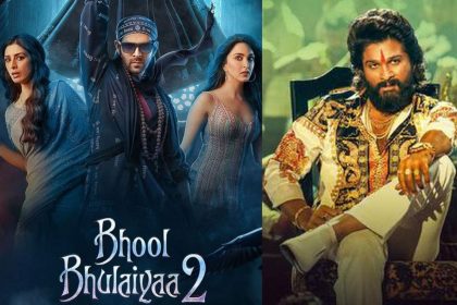 पाकिस्तान में भी हिट हैं बॉलीवुड के ये 5 फिल्में, पुष्पा और भूल भुलैया 2 का नाम भी है शामिल!!