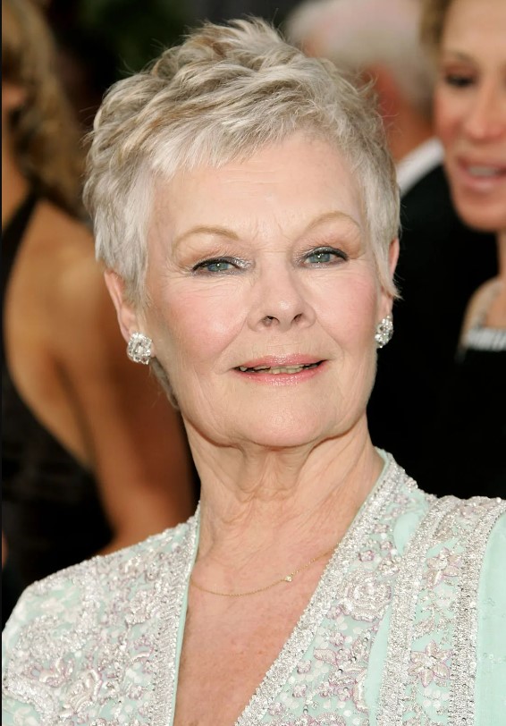 Judi Dench 